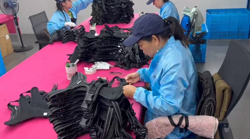 竞技宝电竞宠物，无处不在