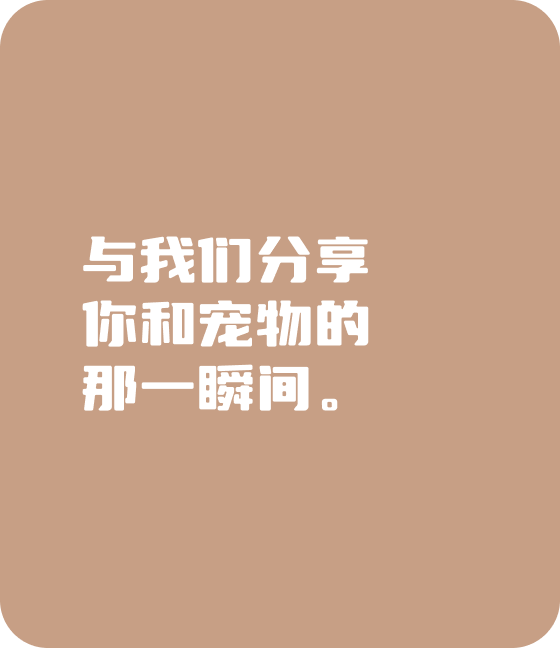 竞技宝电竞宠物，无处不在